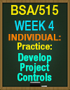 BSA/515 Week 4 Practice: Develop Project Controls